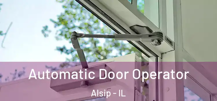 Automatic Door Operator Alsip - IL