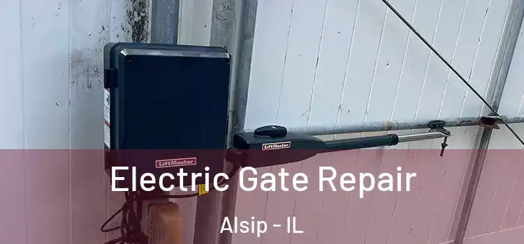 Electric Gate Repair Alsip - IL