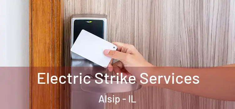  Electric Strike Services Alsip - IL