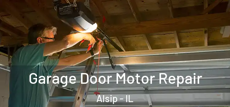  Garage Door Motor Repair Alsip - IL