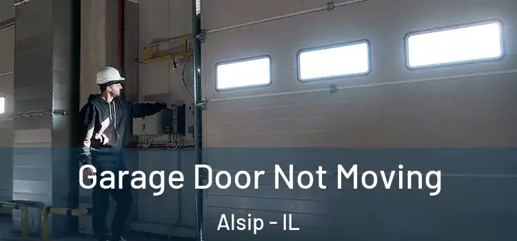  Garage Door Not Moving Alsip - IL