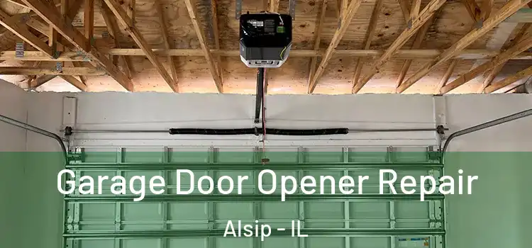  Garage Door Opener Repair Alsip - IL