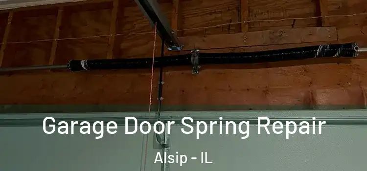  Garage Door Spring Repair Alsip - IL