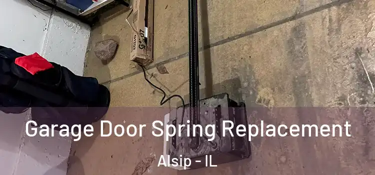  Garage Door Spring Replacement Alsip - IL