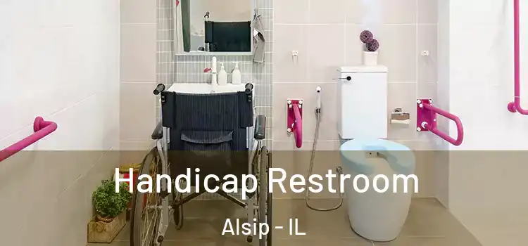  Handicap Restroom Alsip - IL