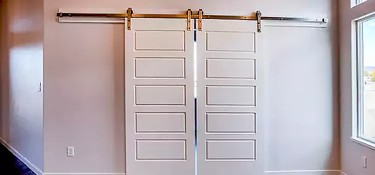 Glass Barn Door with Installation Hardware Kit Alsip