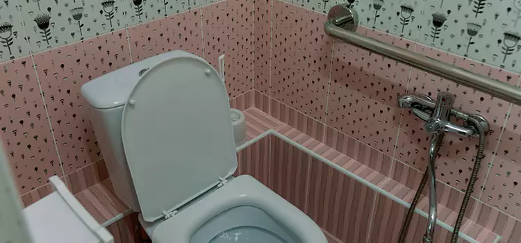 Meeting Diverse Needs With Accessible Restroom Solutions in Alsip, IL