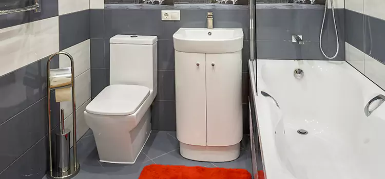 Hansgrohe Shaving Mirror Alsip