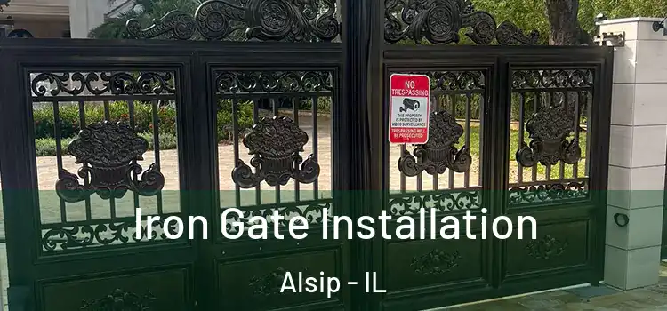 Iron Gate Installation Alsip - IL