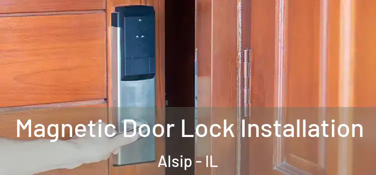  Magnetic Door Lock Installation Alsip - IL