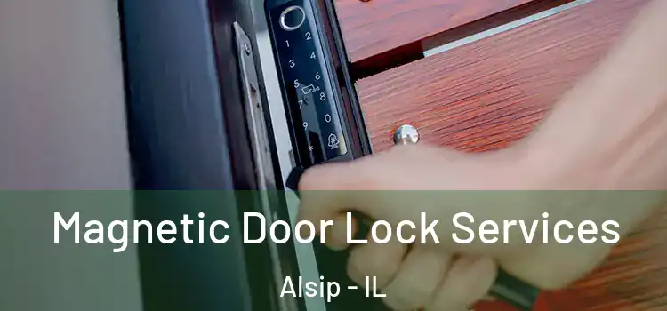 Magnetic Door Lock Services Alsip - IL