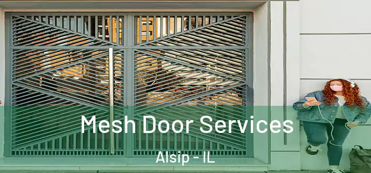 Mesh Door Services Alsip - IL